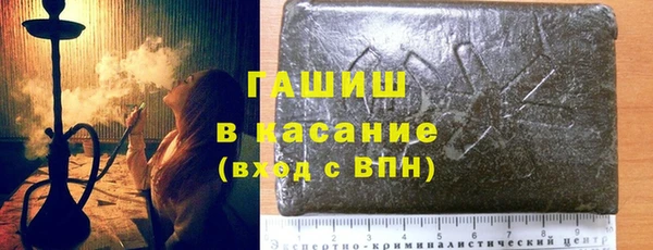 гидра Краснослободск