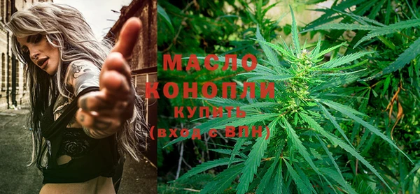 гидра Краснослободск