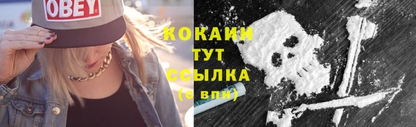 гидра Краснослободск